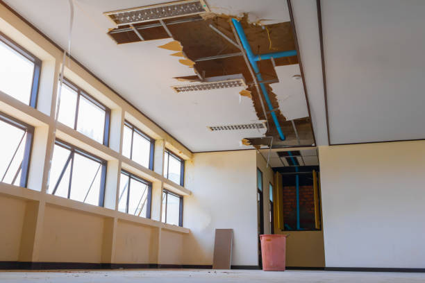  Oro Valley, AZ Water damage restoration Pros