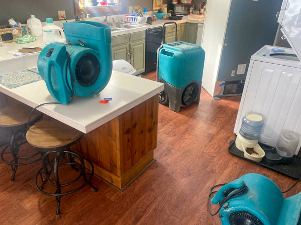 Best Mold removal after water damage  in Oro Valley, AZ
