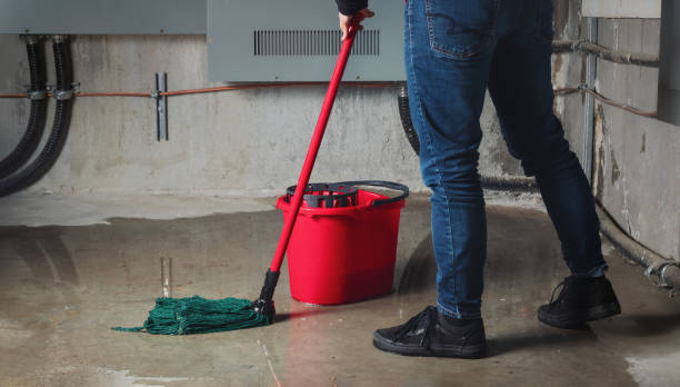 Best Ceiling water damage repair  in Oro Valley, AZ