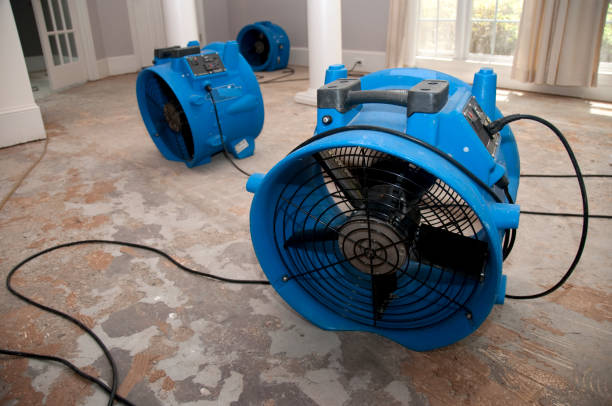 Best Water damage restoration near me  in Oro Valley, AZ