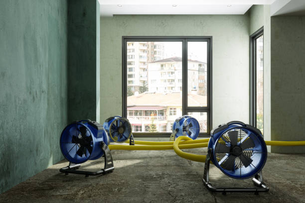 Best Fire Damage Restoration  in Oro Valley, AZ